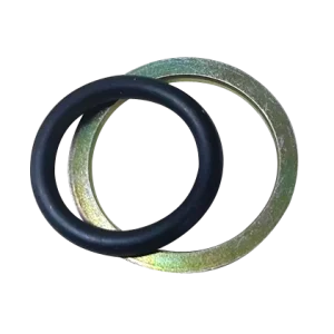 CNPSO-12